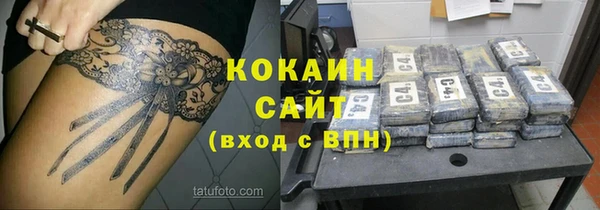 прущие крисы Елизово
