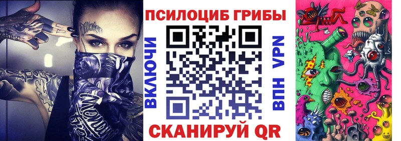 Купить  Муравленко  Псилоцибиновые грибы Cubensis 