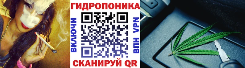 Шишки марихуана семена Муравленко